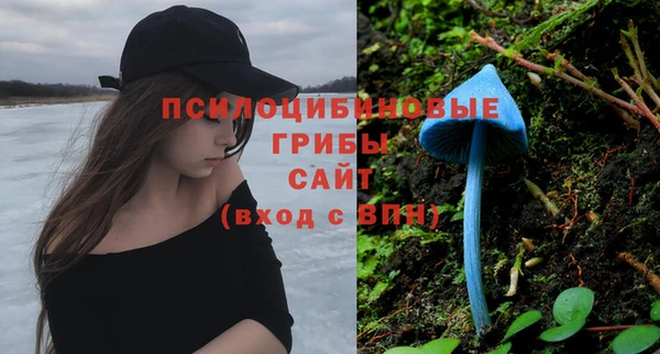 mdpv Алексин