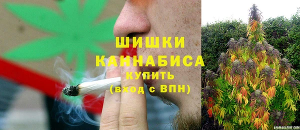 спайс Алзамай