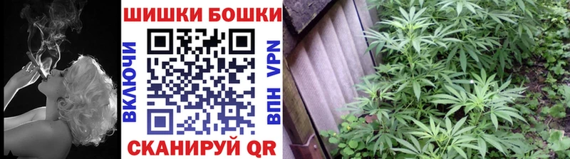 Каннабис план  Павловская 